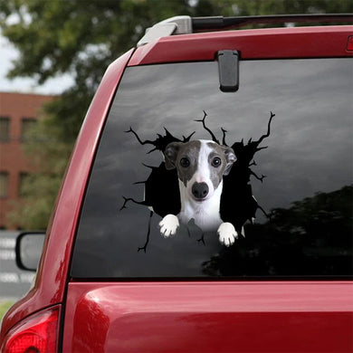 [ha0121-snf-tpa]-italian-greyhound-crack-car-sticker-dogs-lover