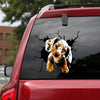 [ha0126-snf-ptd]-dapple-miniature-dachshund-crack-car-sticker-dogs-lover