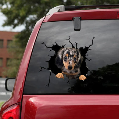 [ha0128-snf-ptd]-dapple-miniature-dachshund-crack-car-sticker-dogs-lover