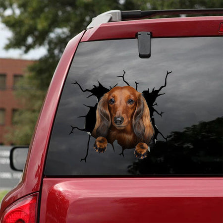 [ha0140-snf-tpa]-long-haired-dachshund-crack-car-sticker-dogs-lover