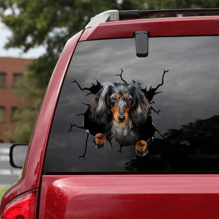 [ha0141-snf-tpa]-long-haired-dachshund-crack-car-sticker-dogs-lover