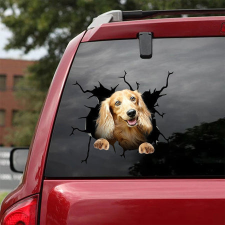 [ha0143-snf-tpa]-long-haired-dachshund-crack-car-sticker-dogs-lover