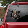 [ha0144-snf-tpa]-long-haired-dachshund-crack-car-sticker-dogs-lover
