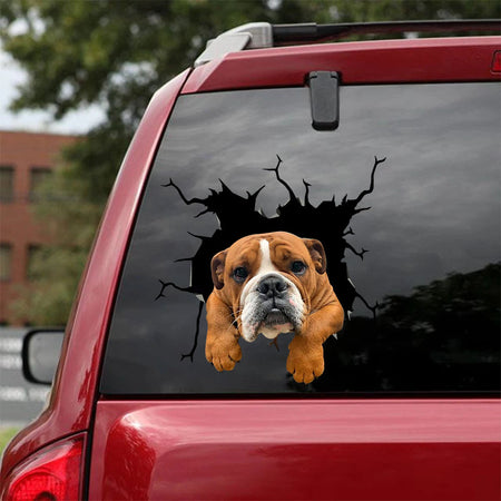 [ha0152-snf-tpa]-english-bulldog-crack-car-sticker-dogs-lover