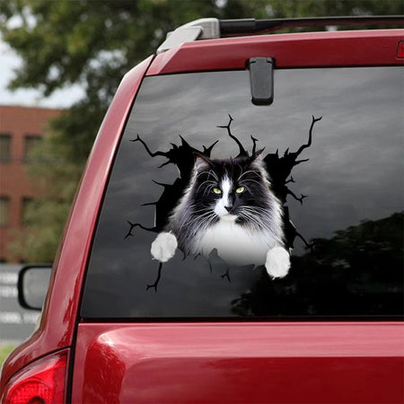 [ha0203-snf-lad]-norwegian-forest-cat-crack-car-sticker-cats-lover