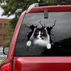 [ha0203-snf-lad]-norwegian-forest-cat-crack-car-sticker-cats-lover