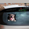 American Bully Crack Decal Items Cool Custom Wall Stickers Gifts For Cat Lovers