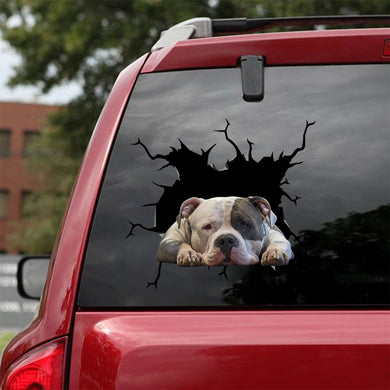 [ha0244-snf-tpa]-american-bully-crack-car-sticker-dogs-lover