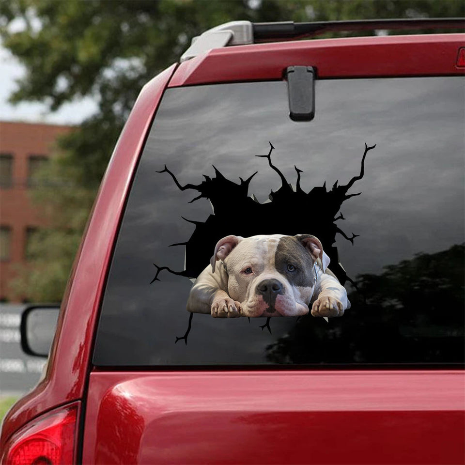 [ha0244-snf-tpa]-american-bully-crack-car-sticker-dogs-lover