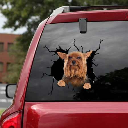 [ha0247-snf-tpa]-yorkshire-terrier-crack-car-sticker-dogs-lover
