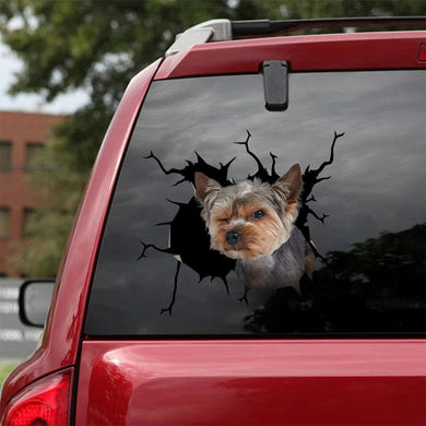 [ha0248-snf-tpa]-yorkshire-terrier-crack-car-sticker-dogs-lover