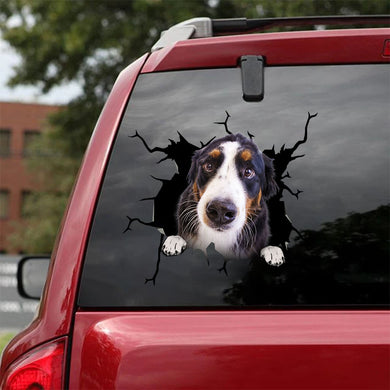 [ha0302-snf-lad]-bernese-mountain-crack-car-sticker-dogs-lover