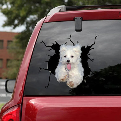 [ha0307-snf-lad]-maltese-crack-car-sticker-dogs-lover