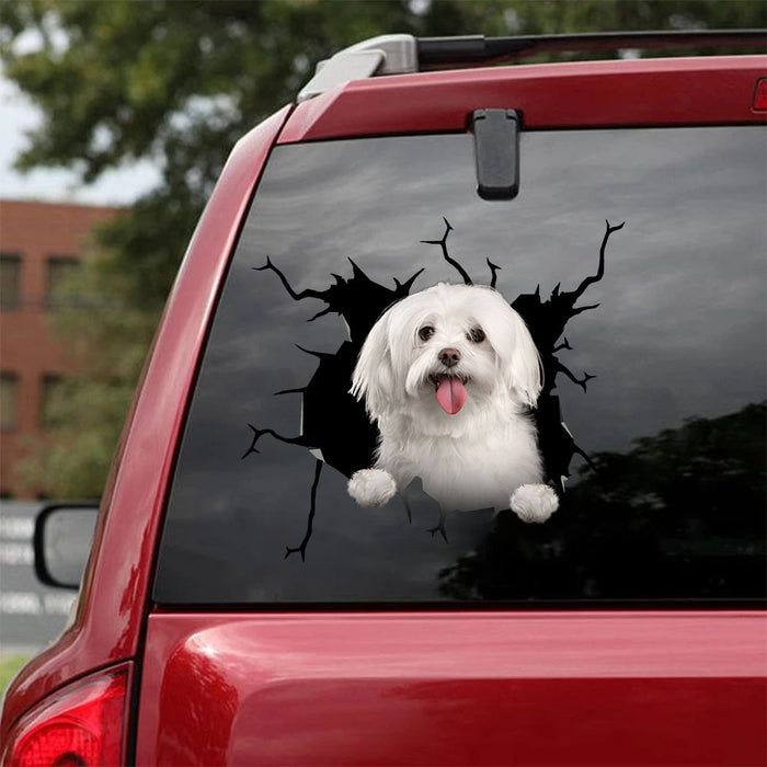 [ha0308-snf-lad]-maltese-crack-car-sticker-dogs-lover