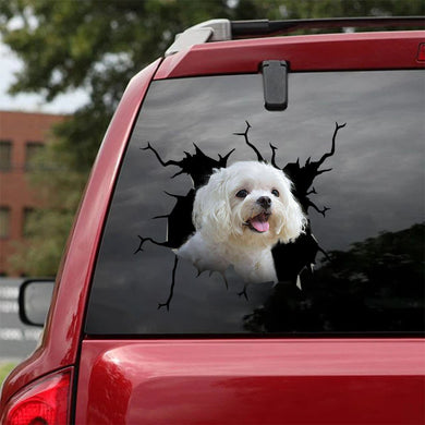 [ha0309-snf-lad]-maltese-crack-car-sticker-dogs-lover