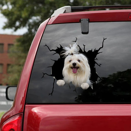 [ha0312-snf-lad]-maltese-crack-car-sticker-dogs-lover