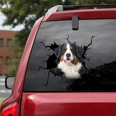 [ha0322-snf-lad]-bernese-mountain-crack-car-sticker-dogs-lover