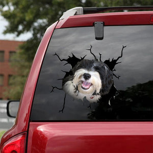 [ha0329-snf-lad]-havanese-crack-car-sticker-dogs-lover