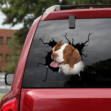 [ha0332-snf-lad]-brittany-crack-car-sticker-dogs-lover
