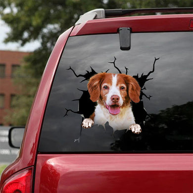 [ha0334-snf-lad]-brittany-crack-car-sticker-dogs-lover
