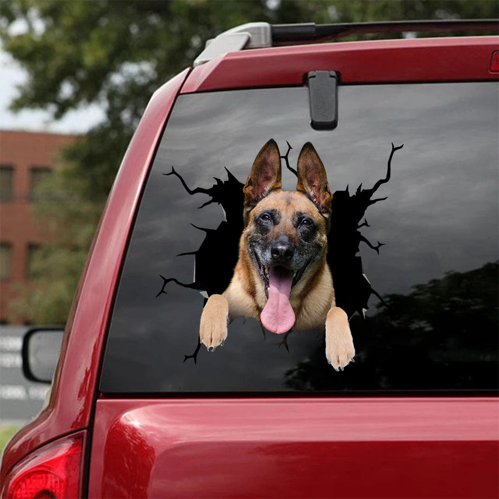 [ha0337-snf-lad]-belgian-malinois-crack-car-sticker-dogs-lover