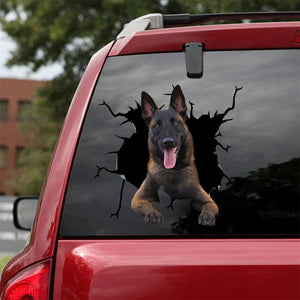 [ha0338-snf-lad]-belgian-malinois-crack-car-sticker-dogs-lover