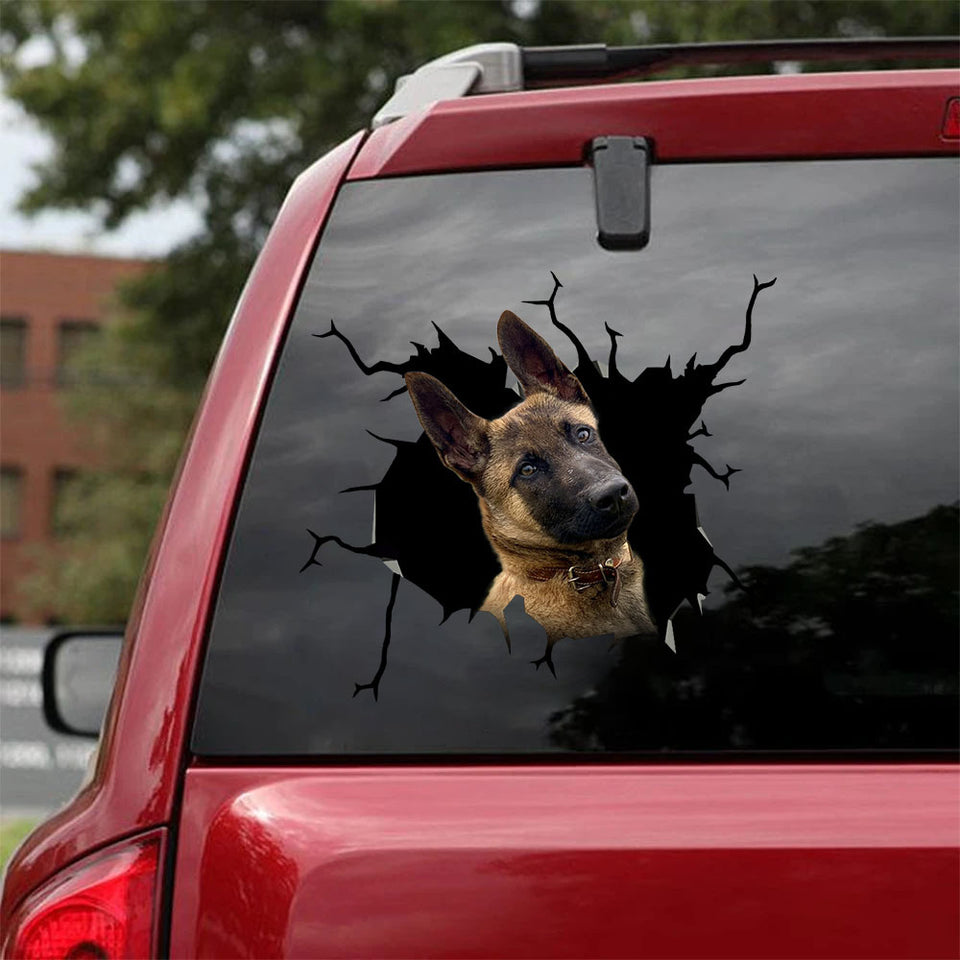 [ha0339-snf-lad]-belgian-malinois-crack-car-sticker-dogs-lover