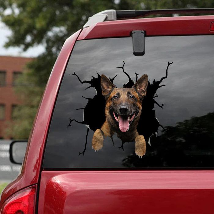 [ha0341-snf-lad]-belgian-malinois-crack-car-sticker-dogs-lover