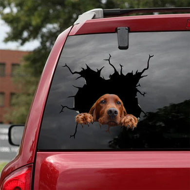 [ha0343-snf-lad]-irish-setters-crack-car-sticker-dogs-lover