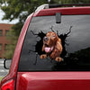 [ha0344-snf-lad]-irish-setters-crack-car-sticker-dogs-lover