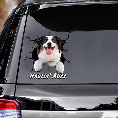 australian-shepherd-crack-car-decals,-gift-for-dogs-lover,-window-decals-car,-gift-for-car,-gift-idea