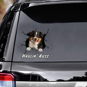 funny-australian-shepherd-crack-car-decals,-window-decals-car,-gift-for-car,-dogs-decals-lover