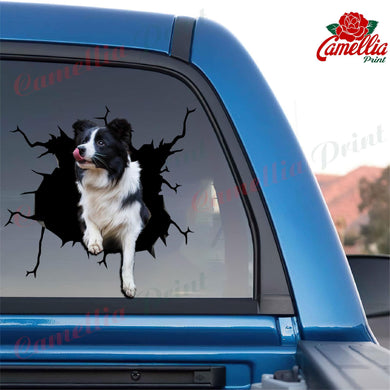 Border Collie Crack Sticker Box Your Cute Jeans Custom Decal Stickers Birthday Gift Ideas