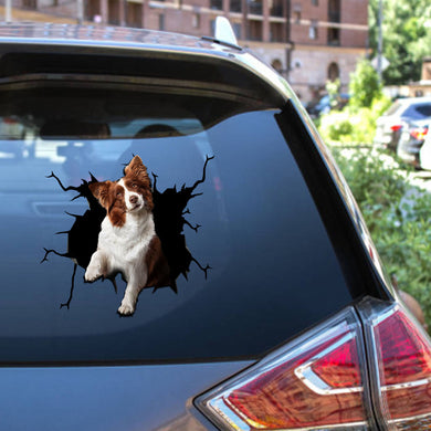 Border Collie Crack Sticker Kawaii Funny Pictures Black And White Stickers Gifts For Mom From Daughter