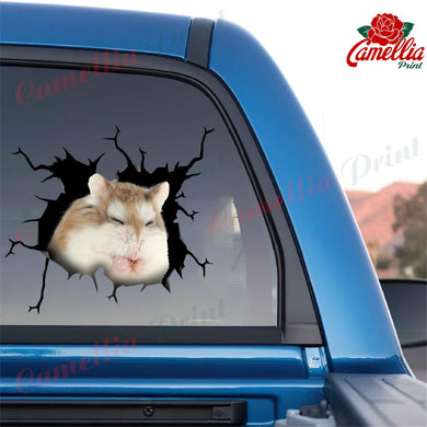 Hamster Crack Bumper Sticker Humor Window Stickers Family Gifts