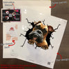 Boxer Crack Sticker Box Funny Memes Custom Car Stickers Birthday Delivery