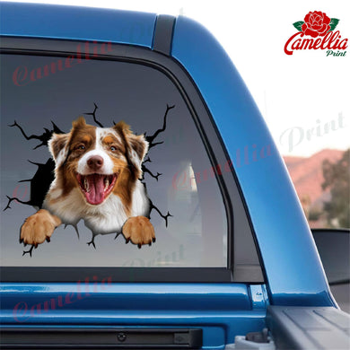 Australian Shepherd Crack Bumper Sticker Super Cute Stickers Valentines Gifts
