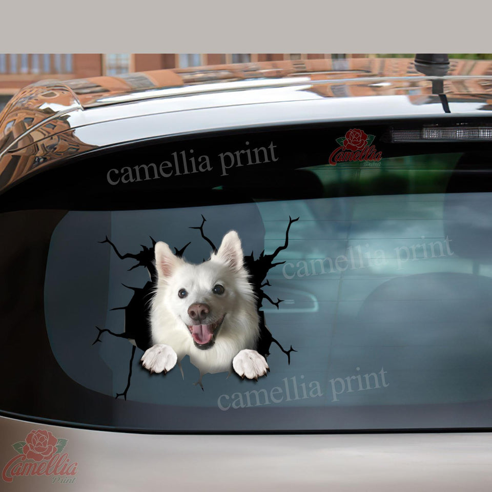 American Eskimo Crack Decal For Car Window Your Cute Jeans Dot Stickers Anniversary Ideas