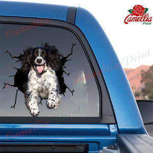 English Springer Spaniel Crack Sticker Album Funny Quotes Laptop Decals Best Gifts For Dad