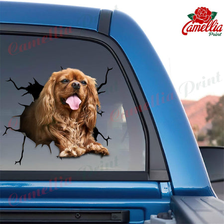 Cavalier King Charles Spaniel Crack Sticker Pack A Cute Logo Stickers Best Gift For Boyfriend