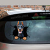 Doberman Crack Decal For Back Car Window Cuteness Overloaded Anime Car Decals Mother Of The Bride Gifts