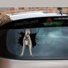 Wolfhound Crack Decal For Car Window Kawaii Logo Stickers Birthday Gift