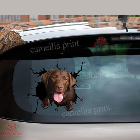 Labrador Chocolate Crack Decals For Walls Pretty Cute Anime Car Decals Gifts For Girlfriend