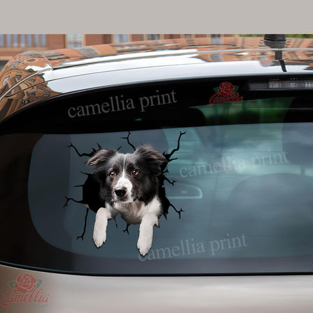Border Collie Crack Head Decal Funny Custom Logo Stickers 10th Anniversary Gift
