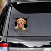 Funny Labrador Car Decals Dogs Sticker Gift For Window Sticker Pet Vinyls Decals