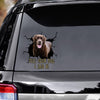 Funny Labrador Car Decals Dogs Sticker Gift For Window Sticker Pet Vinyls Decals