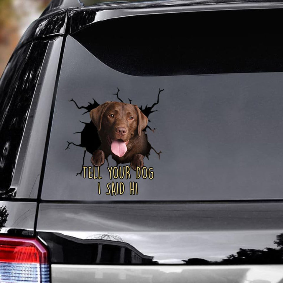 Funny Labrador Car Decals Dogs Sticker Gift For Window Sticker Pet Vinyls Decals