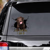 Funny Labrador Car Decals Dogs Sticker Gift For Window Sticker Pet Vinyls Decals