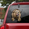 [da0001-snf-tnt]-lion-crack-car-sticker-animals-lover