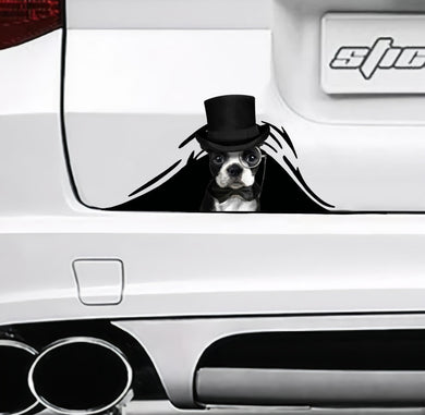 monsieur-boston-crack-sticker-dogs-lover